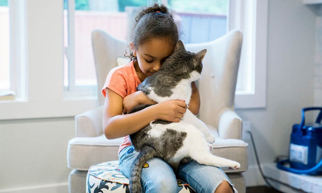 Top Cat Breeds for Families with&nbsp;Kids