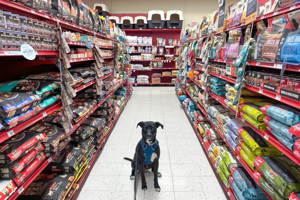 Inside Albania’s First Pet Supermarket — My Experience in Tirana and&nbsp;Durrës